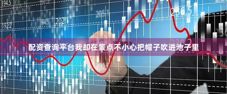 配资查询平台我却在景点不小心把帽子吹进池子里