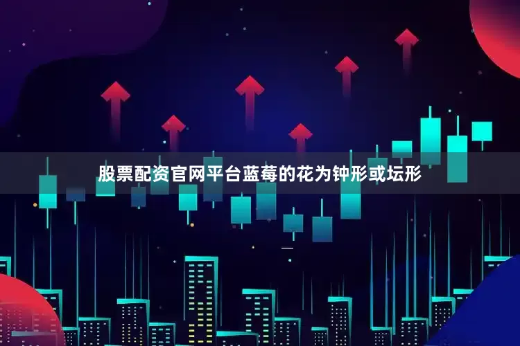 股票配资官网平台蓝莓的花为钟形或坛形
