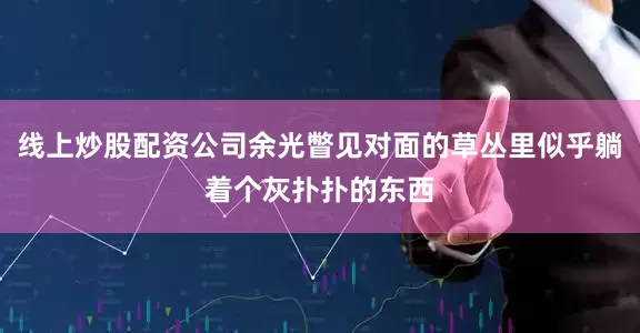 线上炒股配资公司余光瞥见对面的草丛里似乎躺着个灰扑扑的东西