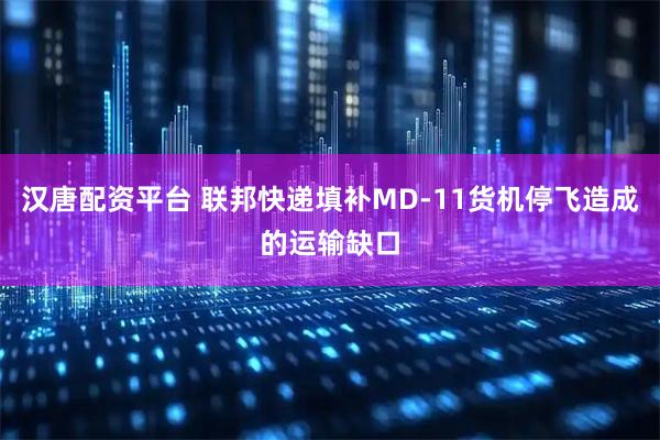 汉唐配资平台 联邦快递填补MD-11货机停飞造成的运输缺口