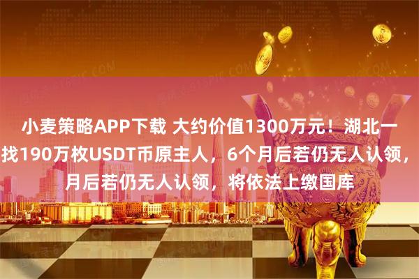 小麦策略APP下载 大约价值1300万元！湖北一地公安公告：寻找190万枚USDT币原主人，6个月后若仍无人认领，将依法上缴国库