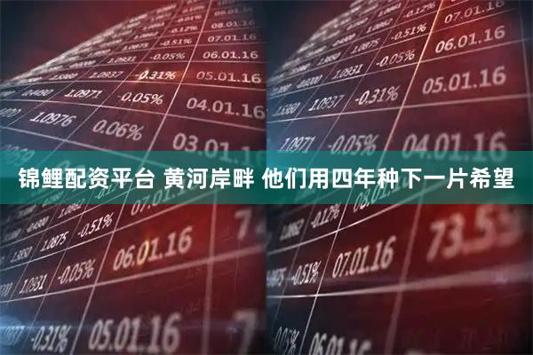 锦鲤配资平台 黄河岸畔 他们用四年种下一片希望