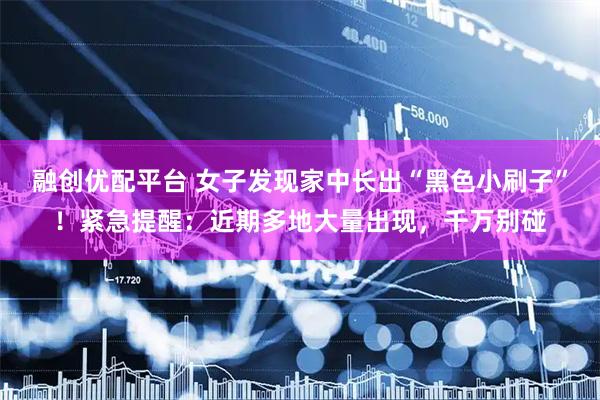 融创优配平台 女子发现家中长出“黑色小刷子”！紧急提醒：近期多地大量出现，千万别碰
