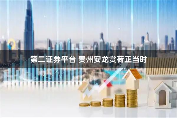 第二证券平台 贵州安龙赏荷正当时